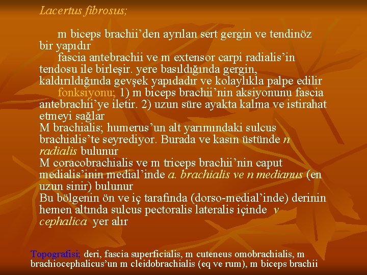 Lacertus fibrosus; m biceps brachii’den ayrılan sert gergin ve tendinöz bir yapıdır fascia antebrachii