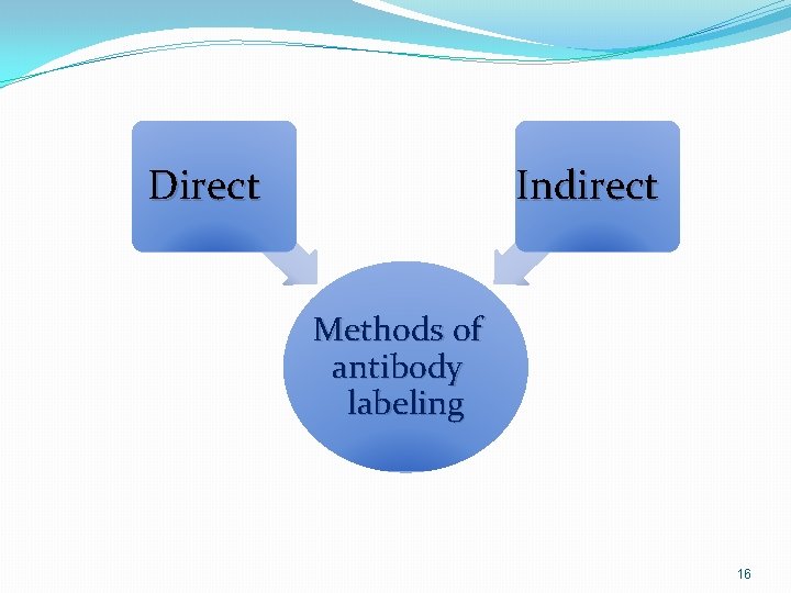 Direct Indirect Methods of antibody labeling 16 