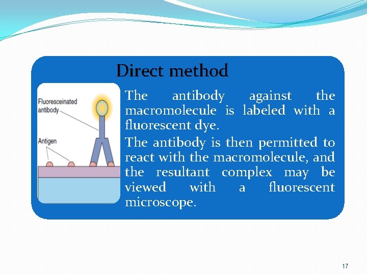 Direct method • The antibody against the macromolecule is labeled with a fluorescent dye.
