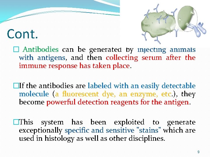 Cont. � Antibodies can be generated by injecting animals with antigens, antigens and then