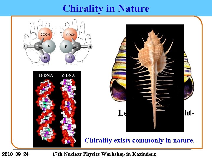 Chirality in Nature Left- Right- Chirality exists commonly in nature. 2010 -09 -24 17