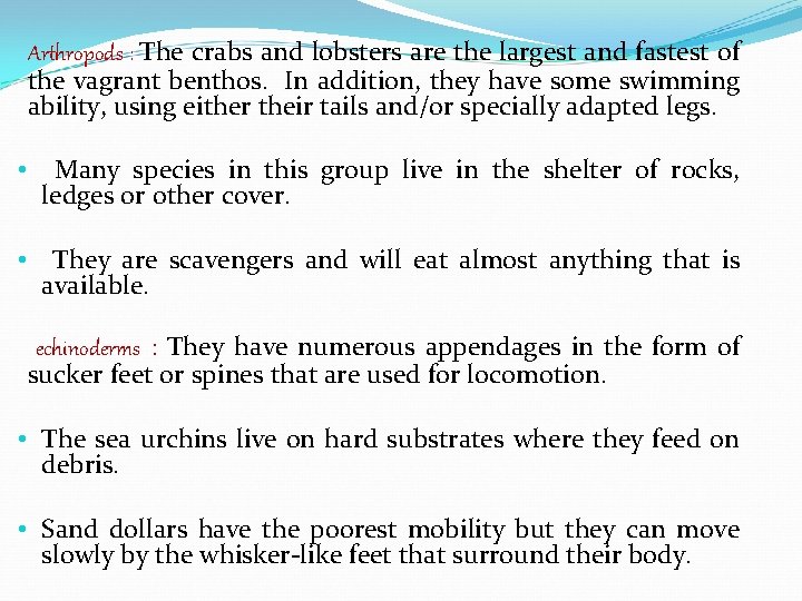 Arthropods : The crabs and lobsters are the largest and fastest of the vagrant