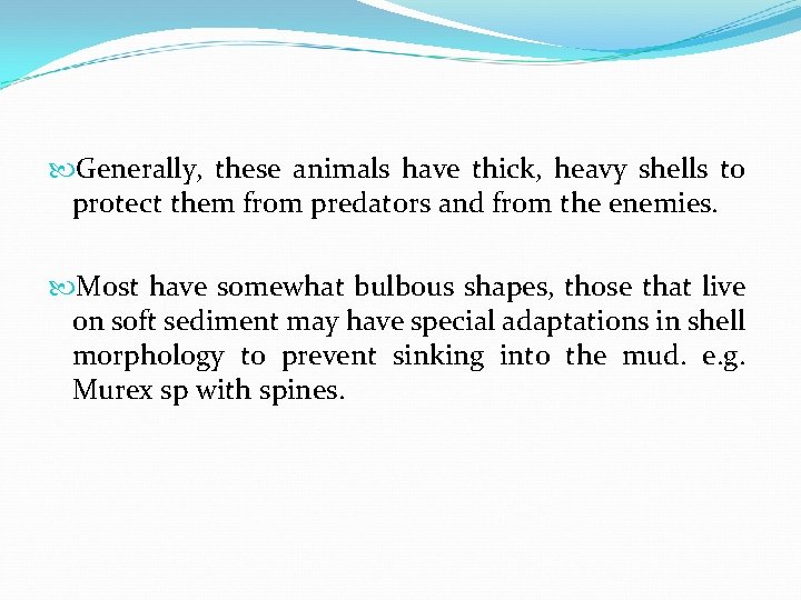  Generally, these animals have thick, heavy shells to protect them from predators and