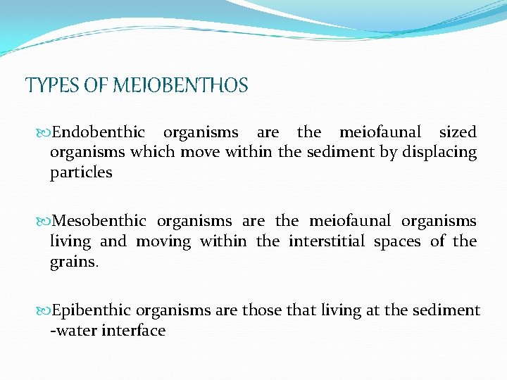 TYPES OF MEIOBENTHOS Endobenthic organisms are the meiofaunal sized organisms which move within the