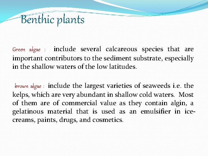 Benthic plants Green algae : include several calcareous species that are important contributors to