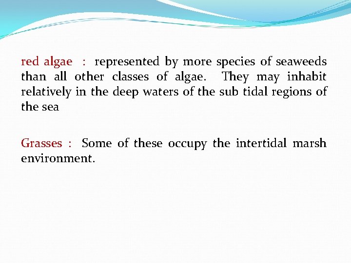 red algae : represented by more species of seaweeds than all other classes of