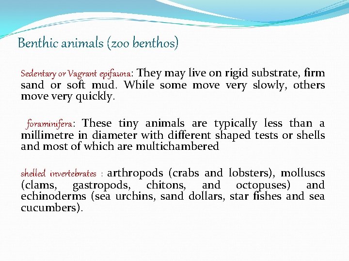 Benthic animals (zoo benthos) Sedentary or Vagrant epifauna: They may live on rigid substrate,