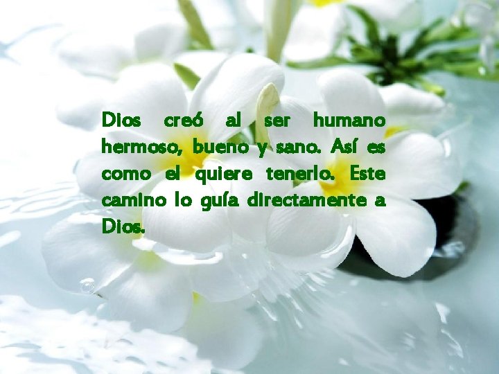 Dios creó al ser humano hermoso, bueno y sano. Así es como el quiere
