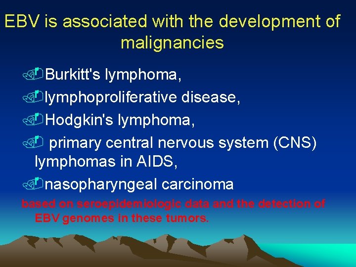 EBV is associated with the development of malignancies. Burkitt's lymphoma, . lymphoproliferative disease, .