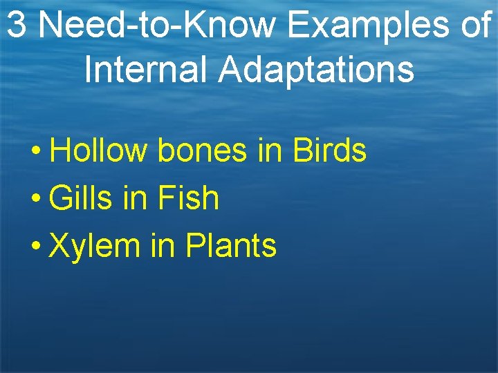 3 Need-to-Know Examples of Internal Adaptations • Hollow bones in Birds • Gills in