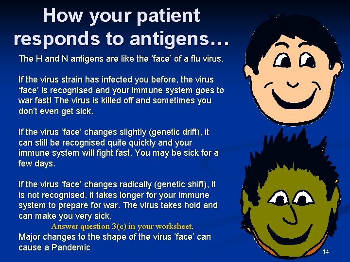 How your patient responds to antigens… The H and N antigens are like the
