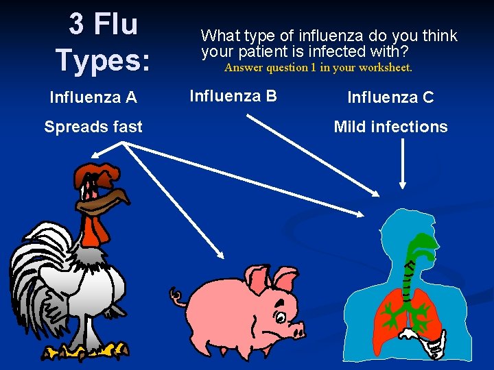 3 Flu Types: Influenza A Spreads fast What type of influenza do you think