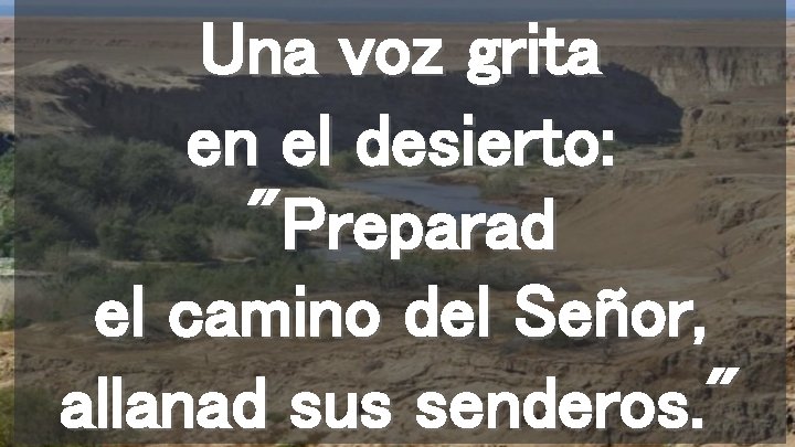 Una voz grita en el desierto: "Preparad el camino del Señor, allanad sus senderos.