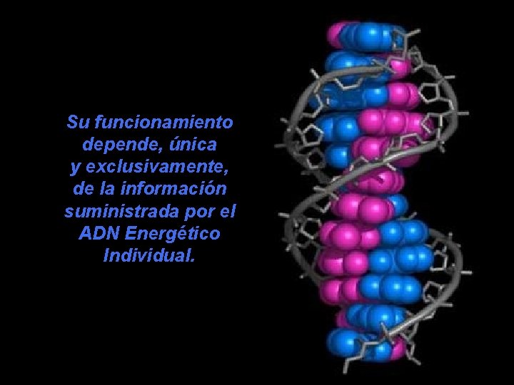 Su funcionamiento depende, única y exclusivamente, de la información suministrada por el ADN Energético