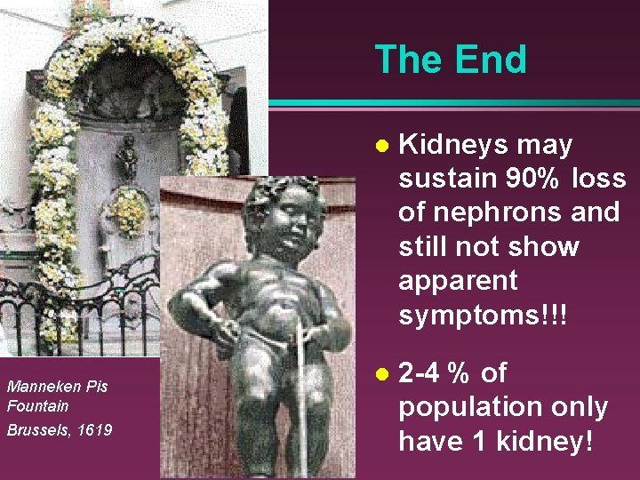 The End Manneken Pis Fountain Brussels, 1619 Kidneys may sustain 90% loss of nephrons