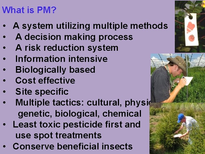 What is PM? • A system utilizing multiple methods • A decision making process