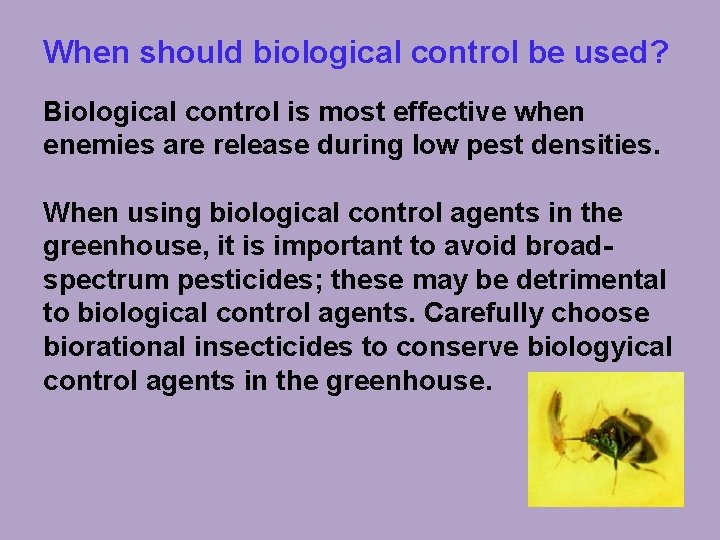 When should biological control be used? Biological control is most effective when enemies are