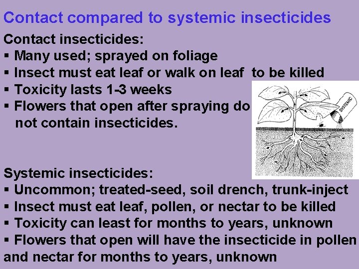 Contact compared to systemic insecticides Contact insecticides: § Many used; sprayed on foliage §