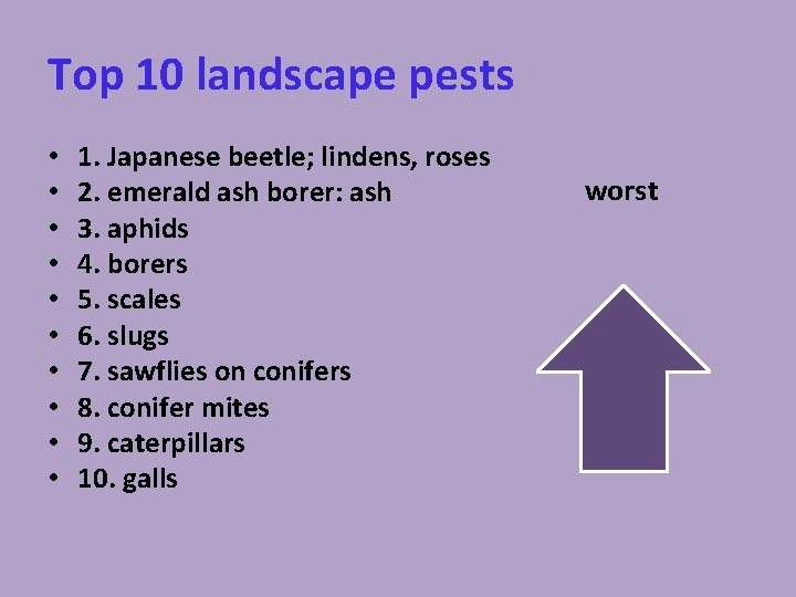 Top 10 landscape pests • • • 1. Japanese beetle; lindens, roses 2. emerald