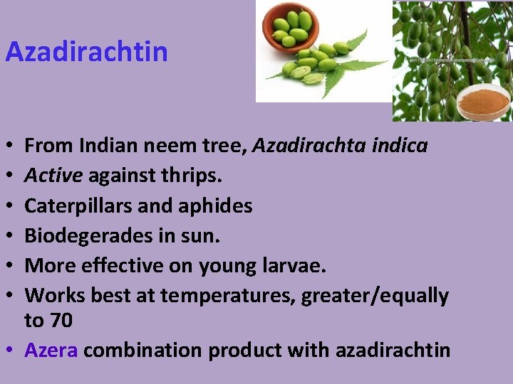 Azadirachtin From Indian neem tree, Azadirachta indica Active against thrips. Caterpillars and aphides Biodegerades
