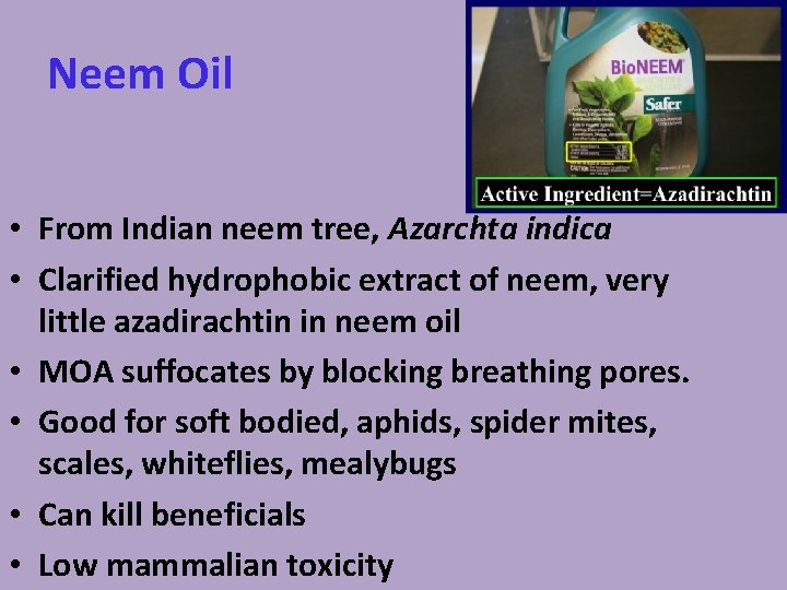 Neem Oil • From Indian neem tree, Azarchta indica • Clarified hydrophobic extract of