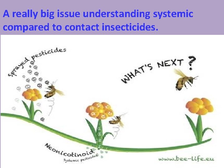 A really big issue understanding systemic compared to contact insecticides. 