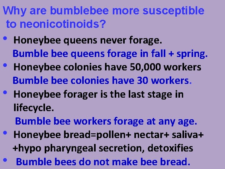 Why are bumblebee more susceptible to neonicotinoids? • Honeybee queens never forage. Bumble bee