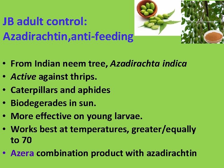 JB adult control: Azadirachtin, anti-feeding From Indian neem tree, Azadirachta indica Active against thrips.