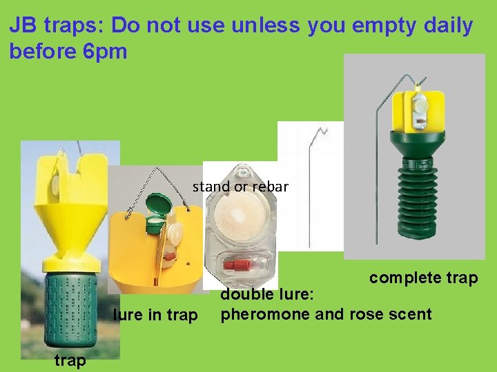 JB traps: Do not use unless you empty daily before 6 pm stand or