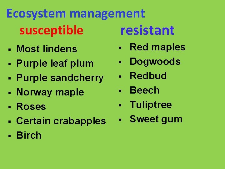 Ecosystem management susceptible resistant § § § § Most lindens Purple leaf plum Purple