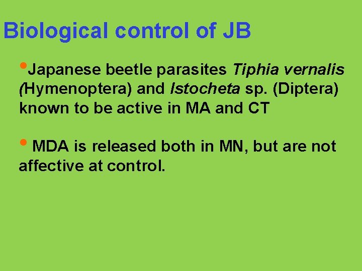 Biological control of JB • Japanese beetle parasites Tiphia vernalis (Hymenoptera) and Istocheta sp.