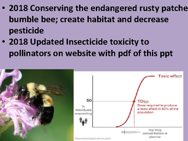  • 2018 Conserving the endangered rusty patched bumble bee; create habitat and decrease