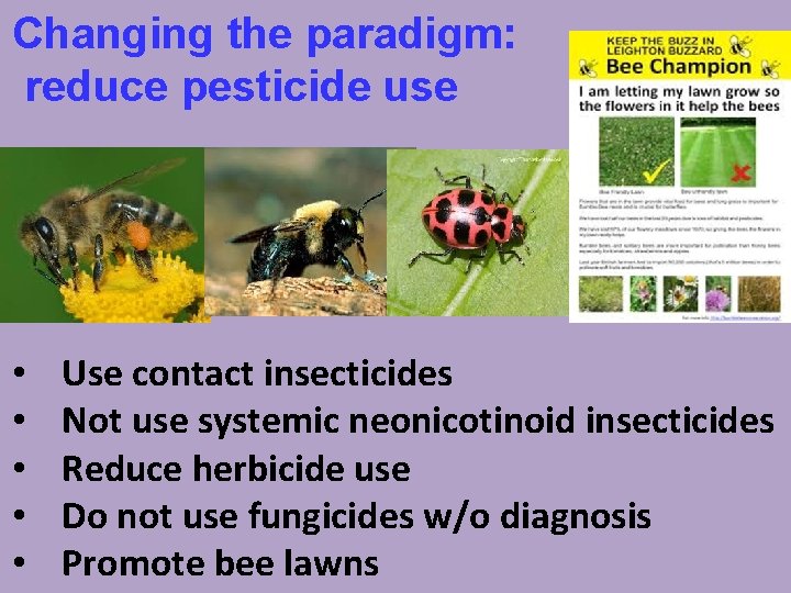 Changing the paradigm: reduce pesticide use • • • Use contact insecticides Not use