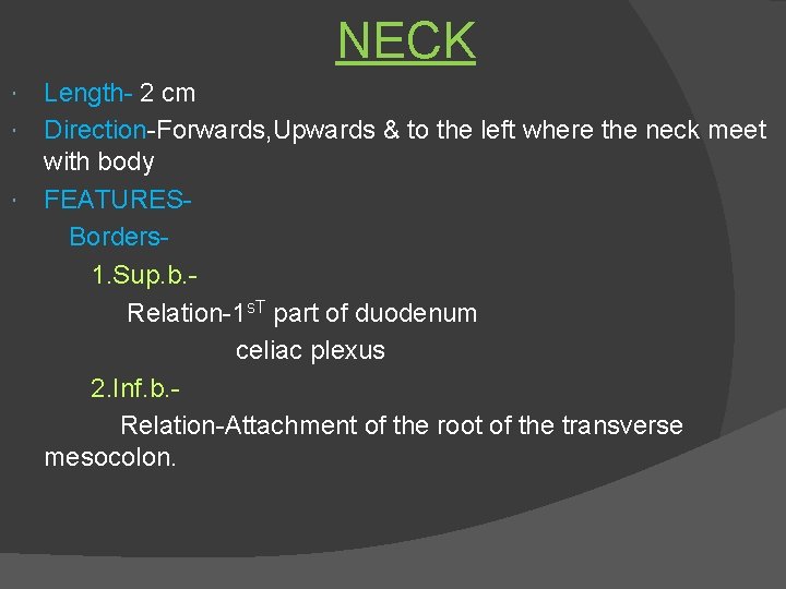 NECK Length- 2 cm Direction-Forwards, Upwards & to the left where the neck meet