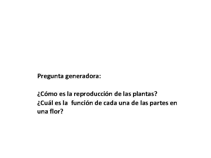 Pregunta generadora: ¿Cómo es la reproducción de las plantas? ¿Cuál es la función de