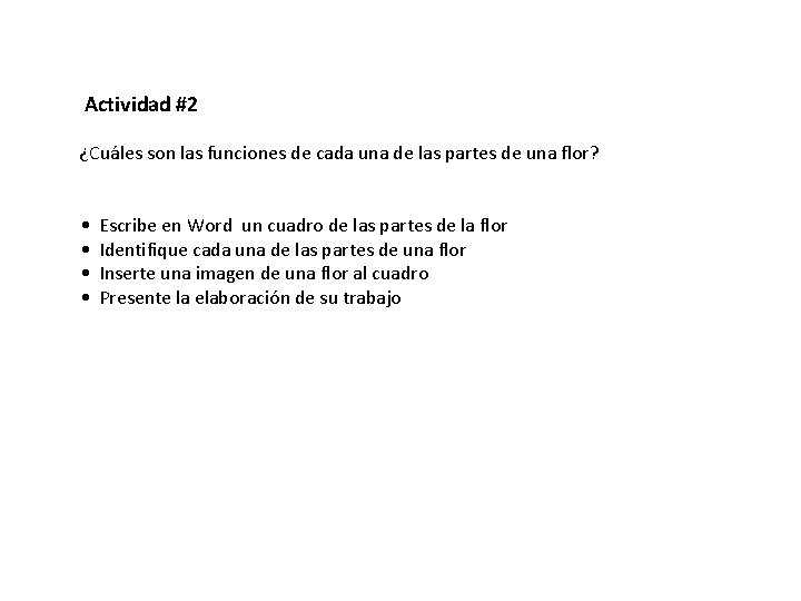  Actividad #2 ¿Cuáles son las funciones de cada una de las partes de