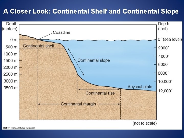 A Closer Look: Continental Shelf and Continental Slope 