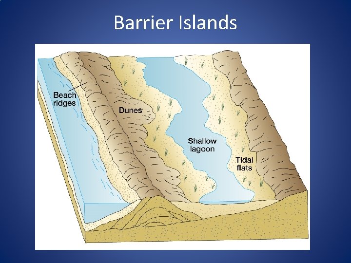 Barrier Islands 