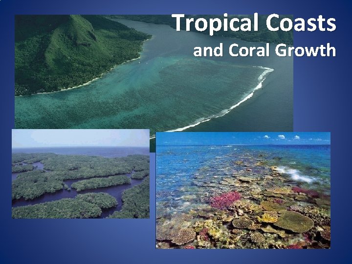 Tropical Coasts and Coral Growth 