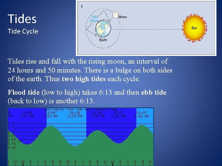 Tides Tide Cycle Tides rise and fall with the rising moon, an interval of