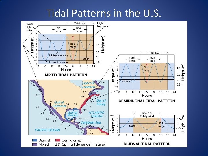 Tidal Patterns in the U. S. 