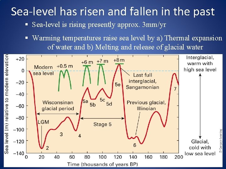 Sea-level has risen and fallen in the past § Sea-level is rising presently approx.