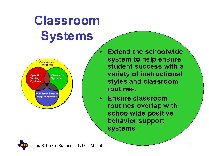 Classroom Systems • Extend the schoolwide system to help ensure student success with a
