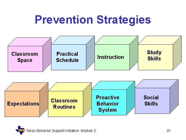 Prevention Strategies Classroom Space Practical Schedule Expectations Classroom Routines Texas Behavior Support Initiative: Module