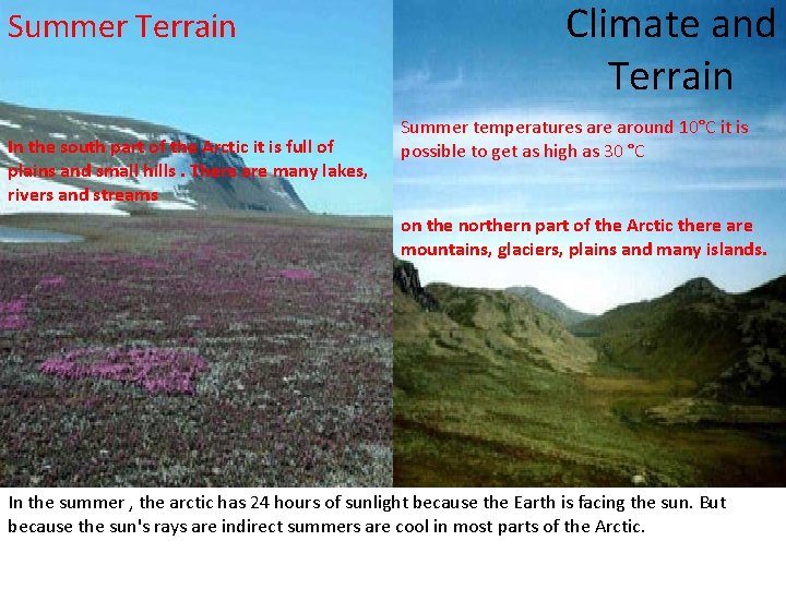 Summer Terrain In the south part of the Arctic it is full of plains