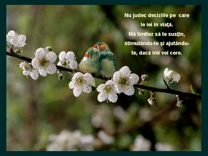 Nu judec deciziile pe care le iei în viaţă. Mă limitez să te susţin,
