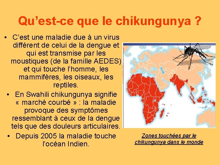 Qu’est-ce que le chikungunya ? • C’est une maladie due à un virus différent