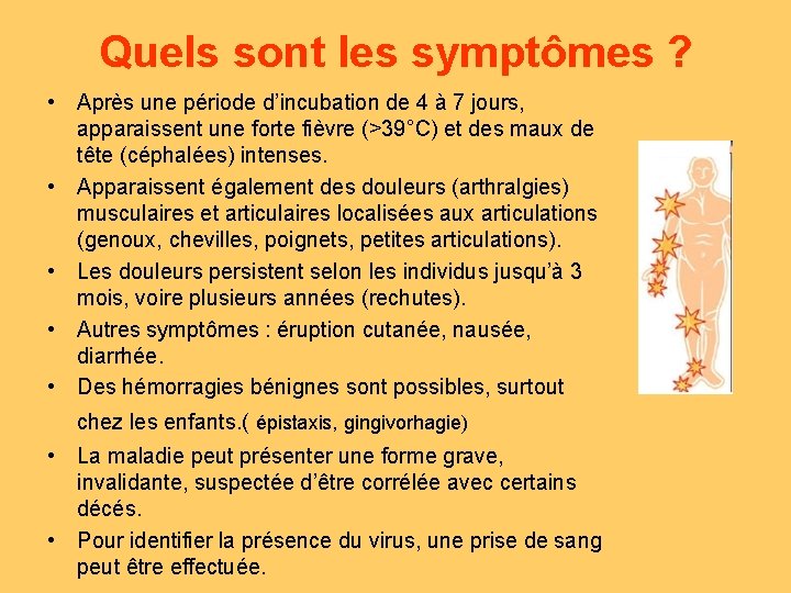 Quels sont les symptômes ? • Après une période d’incubation de 4 à 7