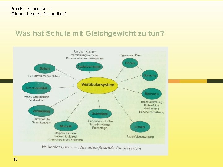 Projekt „Schnecke – Bildung braucht Gesundheit“ Was hat Schule mit Gleichgewicht zu tun? 18