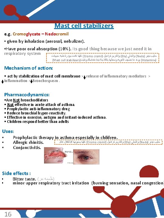Mast cell stabilizers e. g. Cromoglycate – Nedocromil § given by inhalation (aerosol, nebulizer).